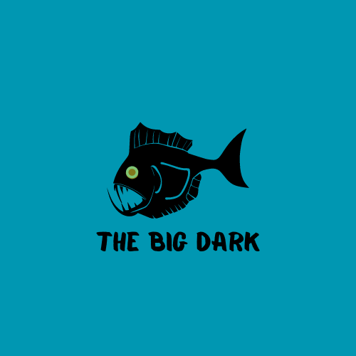 The Big Dark Rin Co