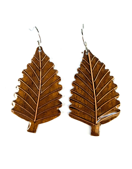 The Oak - Walnut